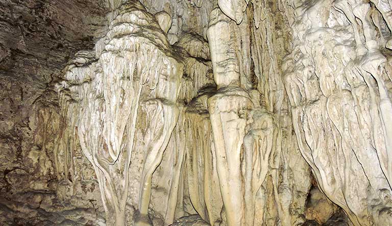 lime-stone-caves-baratang-island-of-andaman-india